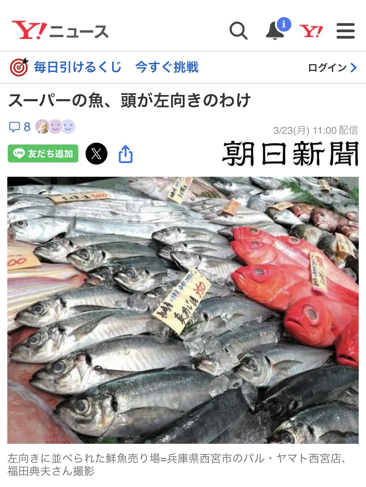 魚